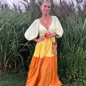 NWT Staud Meadow Dress